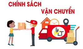 Chính sách vận chuyển và giao hàng